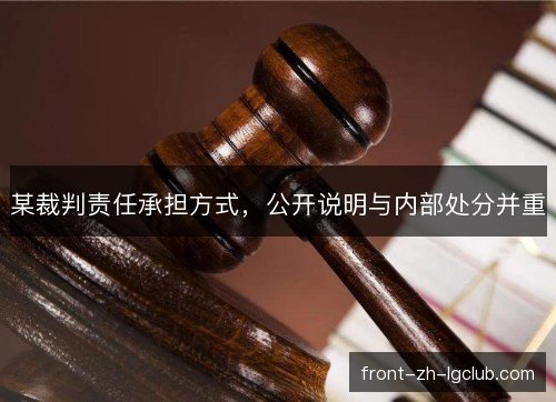某裁判责任承担方式，公开说明与内部处分并重